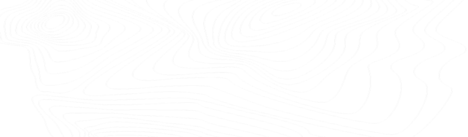 Vivacity Brand Pattern